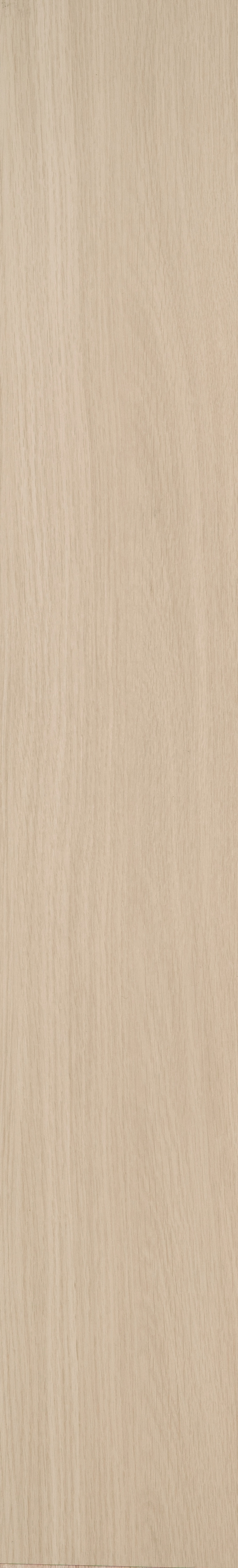 Premium Oak_Ecru_01