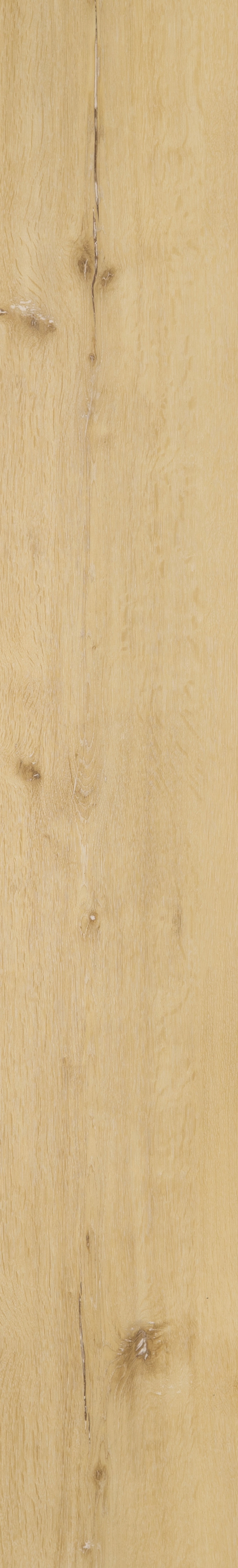 Riverside Oak_Sunshine_01