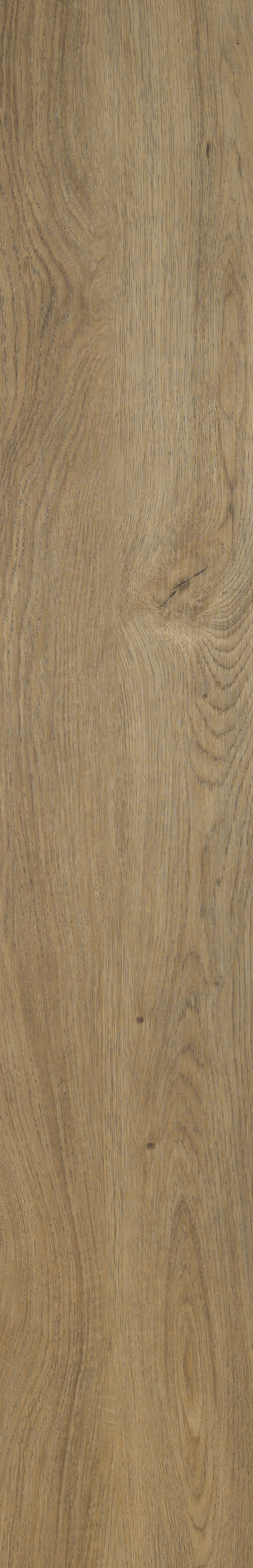 SIENNA OAK_AUTHENTIQUE_plank_01
