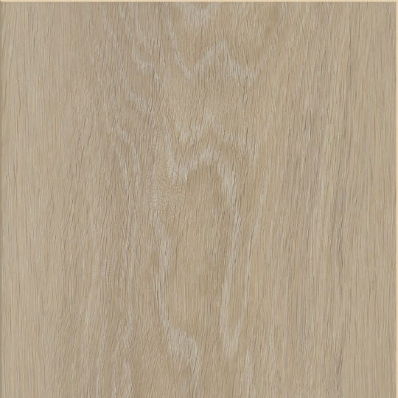 invictus-maximus-xl-silk-oak-latte-30