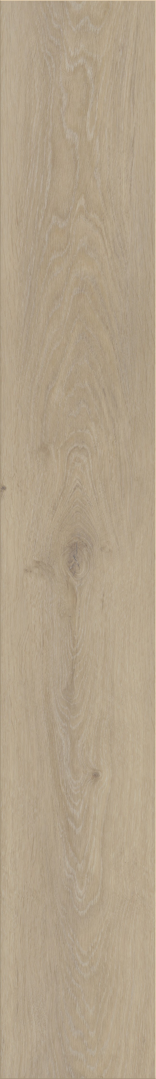 Silk Oak_Latte_01 male