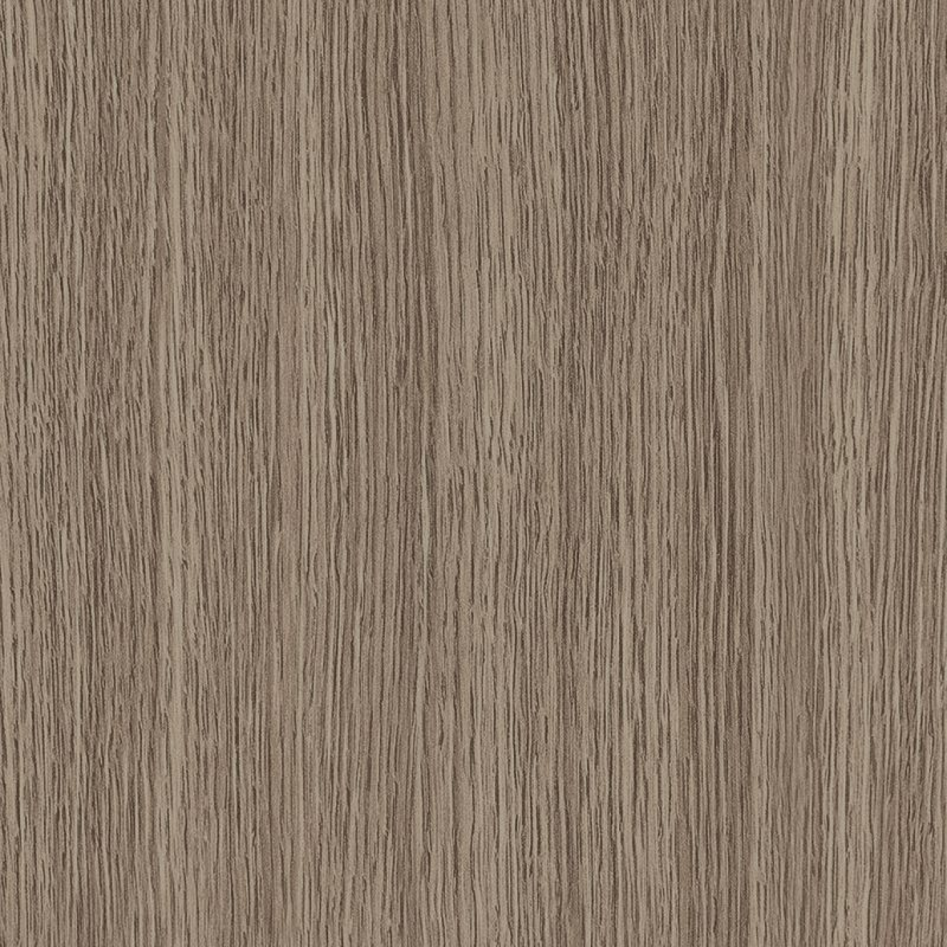 Velvet Oak celeste