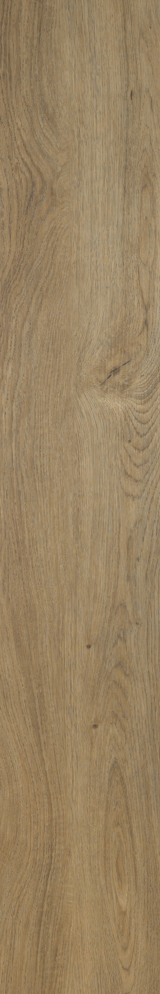 SIENNA OAK_AUTHENTIQUE_plank_01