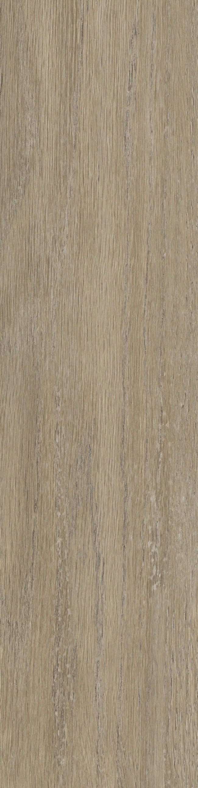 New England Oak_Sand_PQT_05