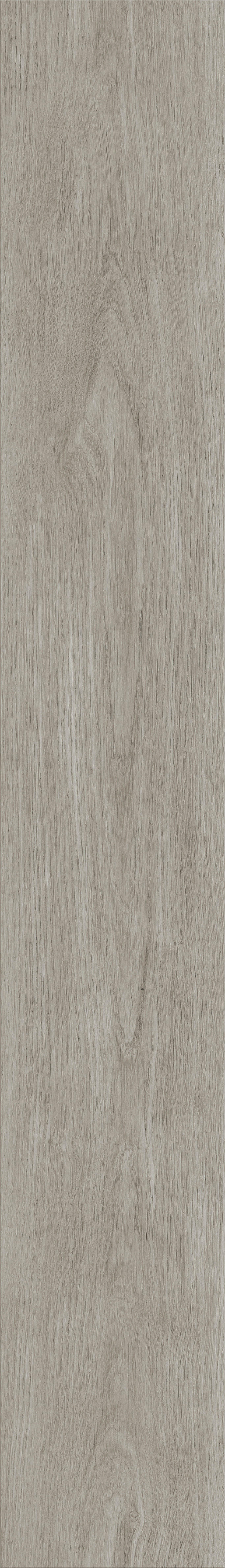 New England Oak_Misty_01