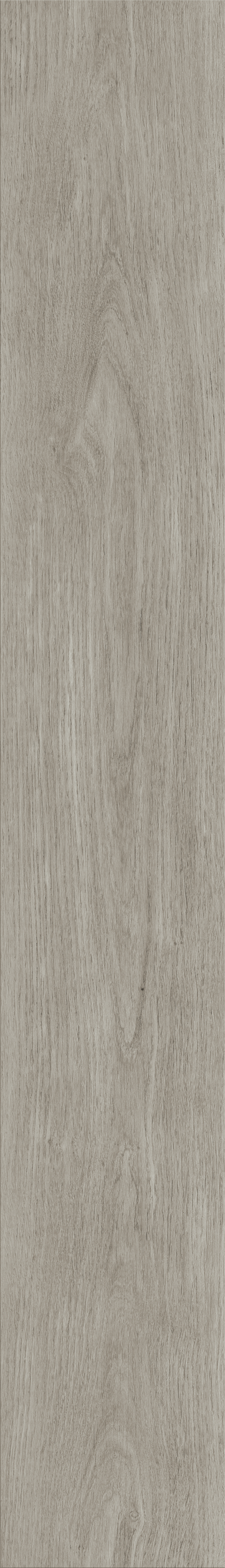 New England Oak_Misty_01