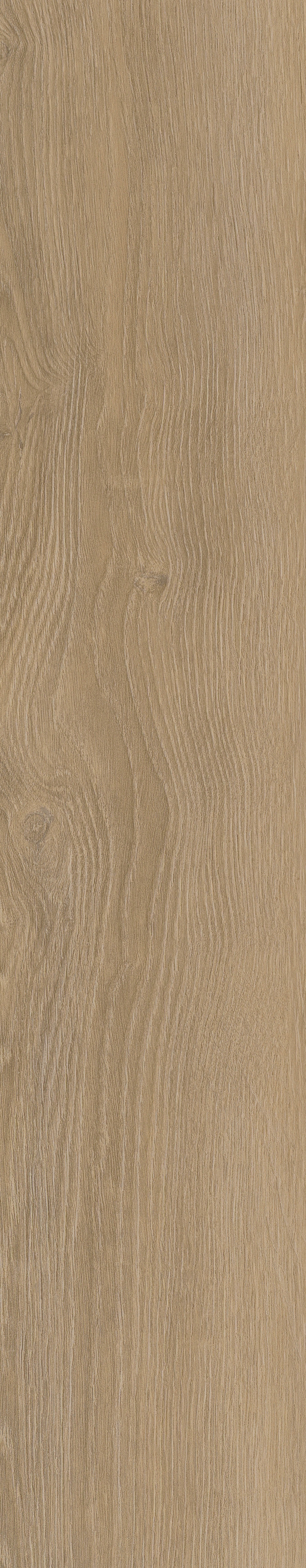 Divine Oak_Champagne_Scan_PQT_01