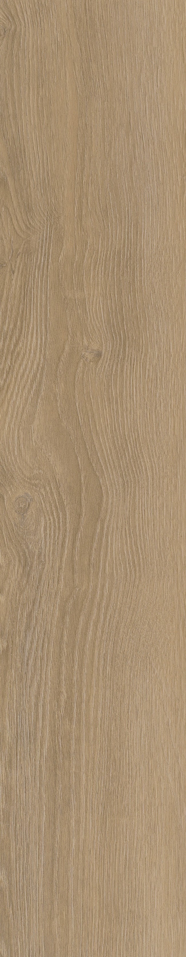 Divine Oak_Champagne_Scan_PQT_01