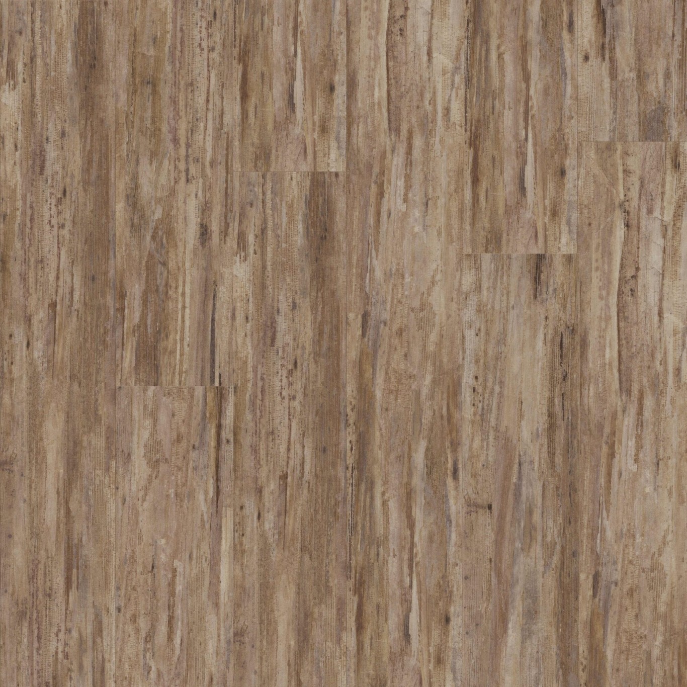 Tropical-Forest-Havana-Formation-1000x1000-LR-scaled