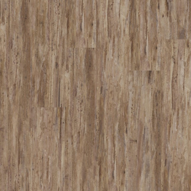 Tropical-Forest-Havana-Formation-1000x1000-LR-scaled