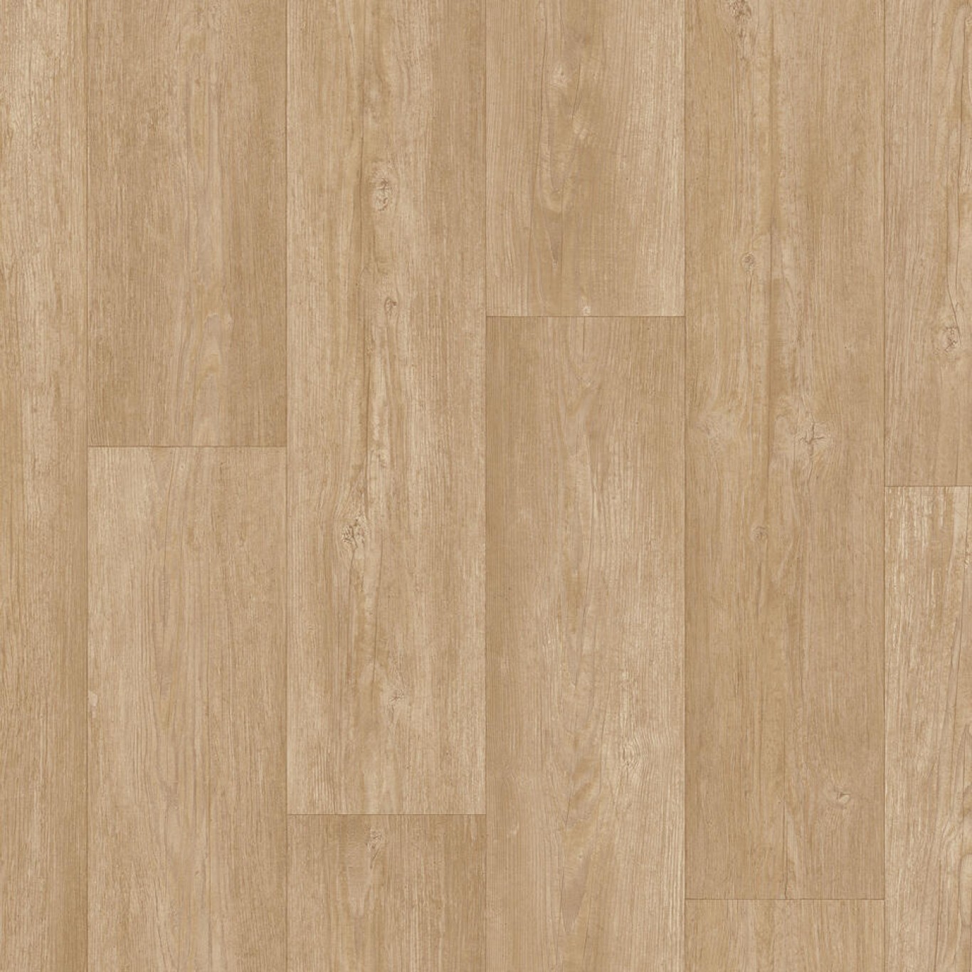 Winter Pine SOFT NATU