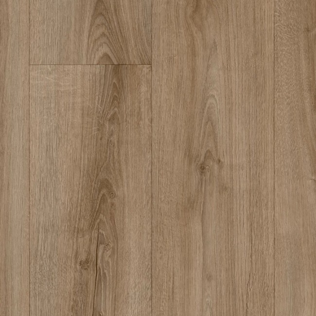 Sundance Oak 547