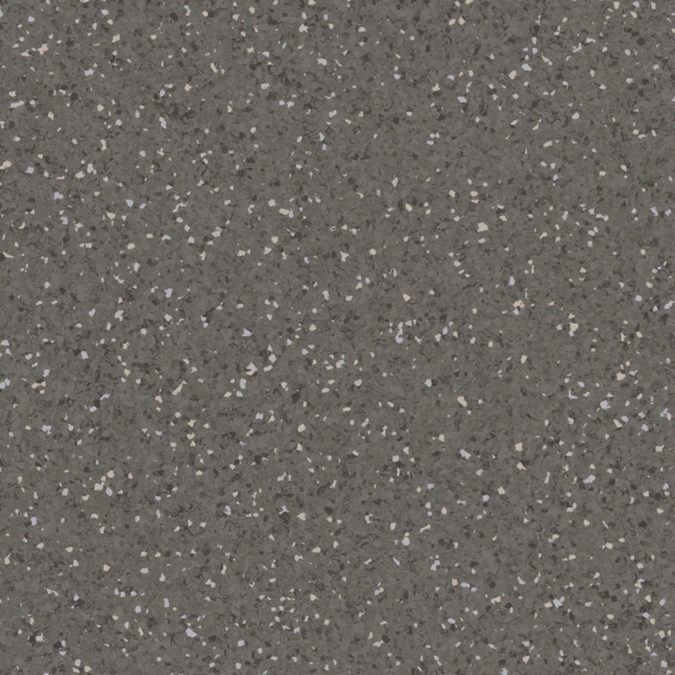 DARK WARM GREY 0656