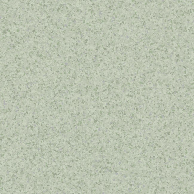 LIGHT GREEN 0679