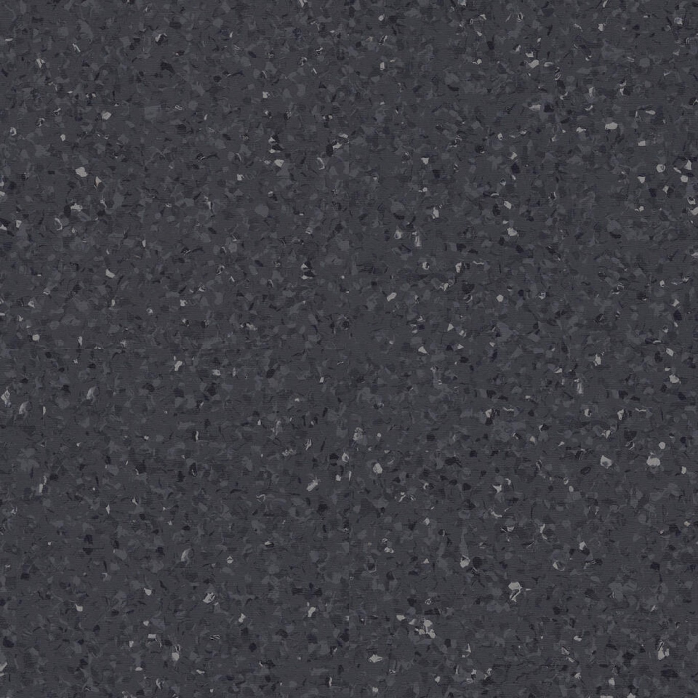 Toro BLACK 0103