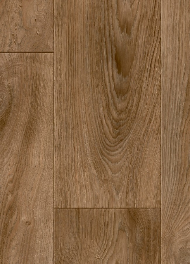 Burned Wood T37