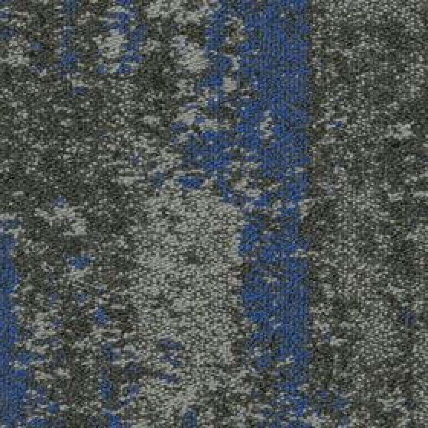 79