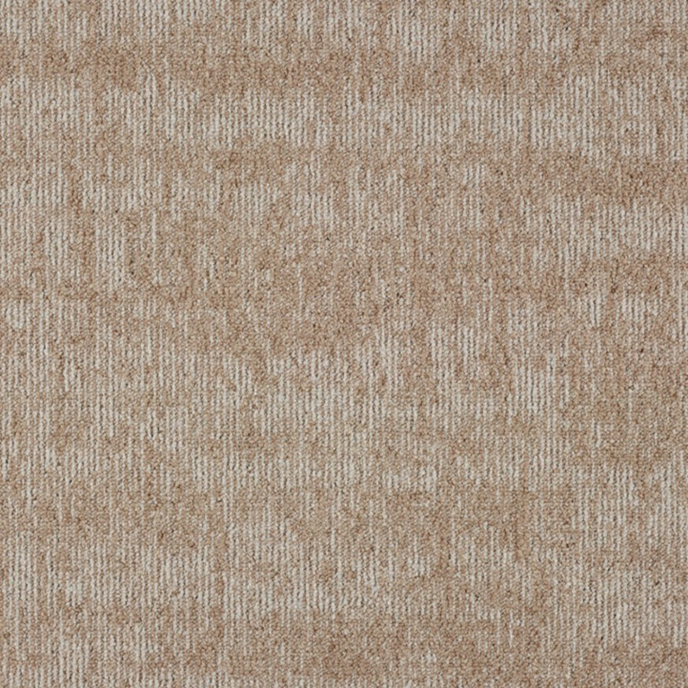 703