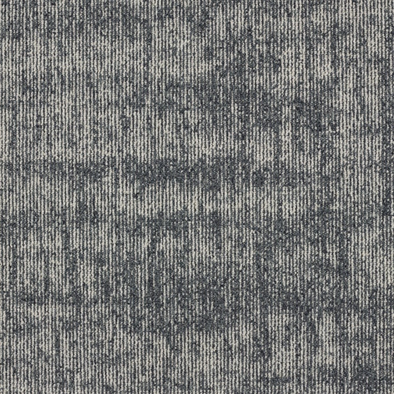 569
