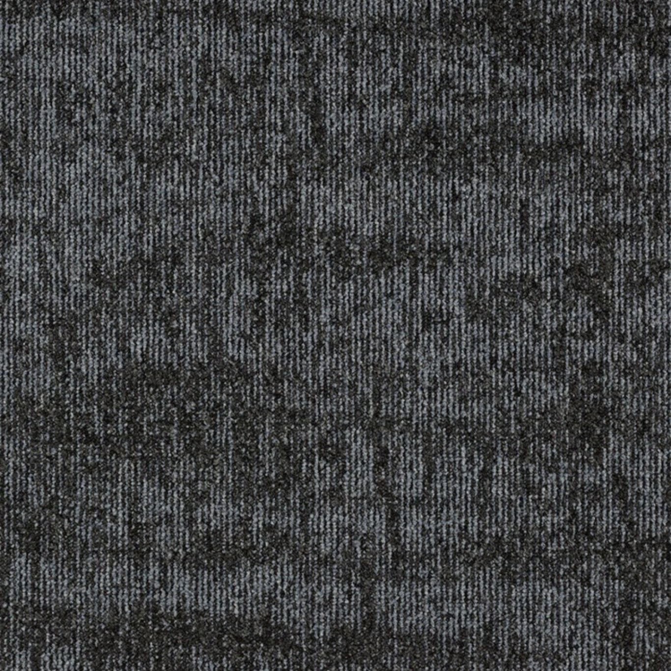 559