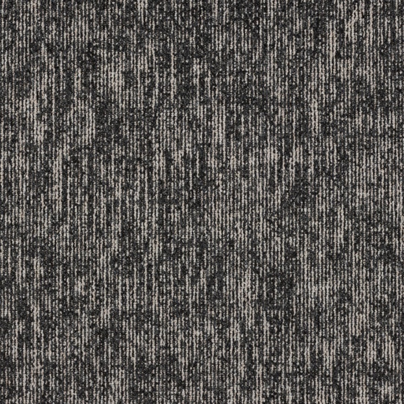 731