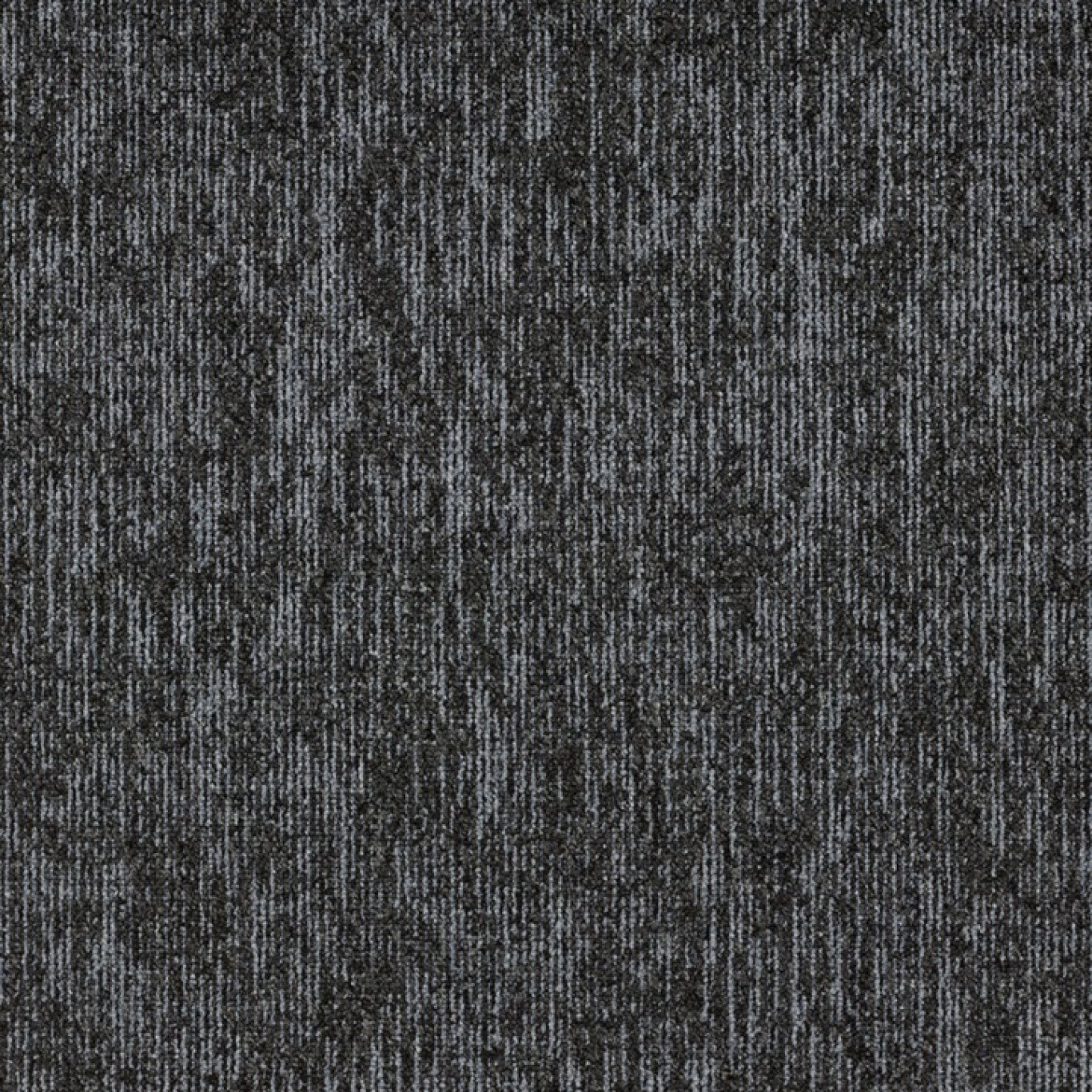 559