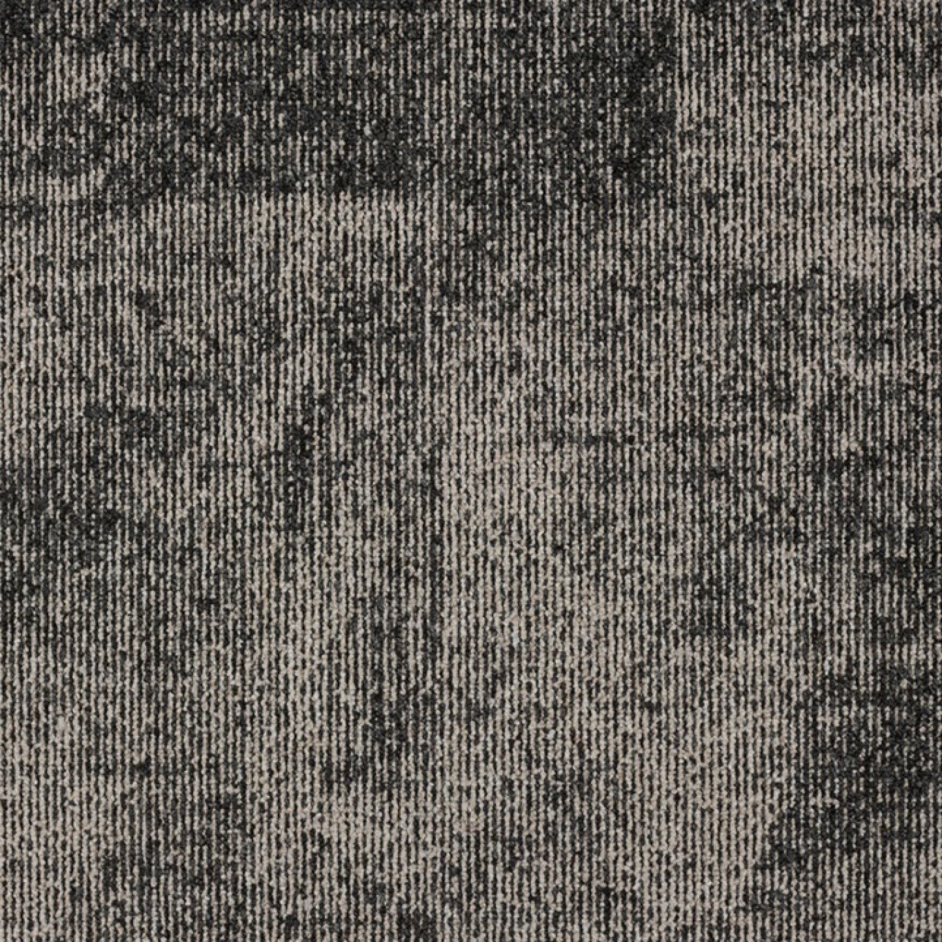 731