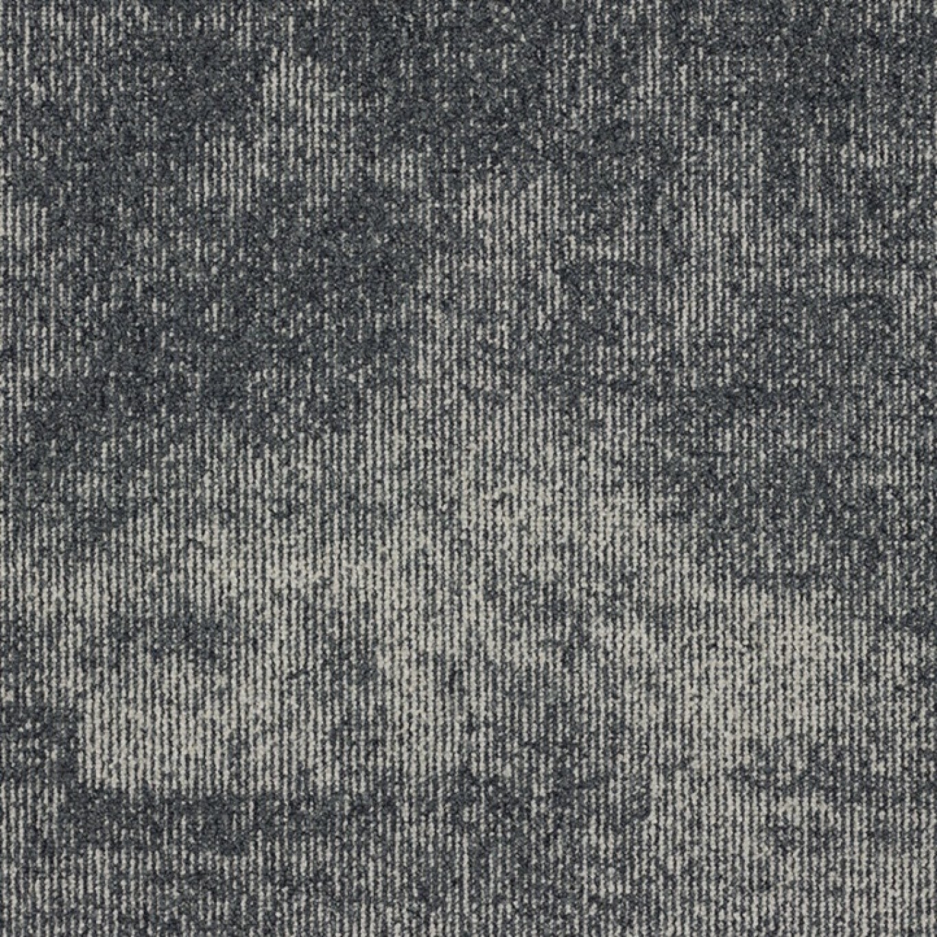 569