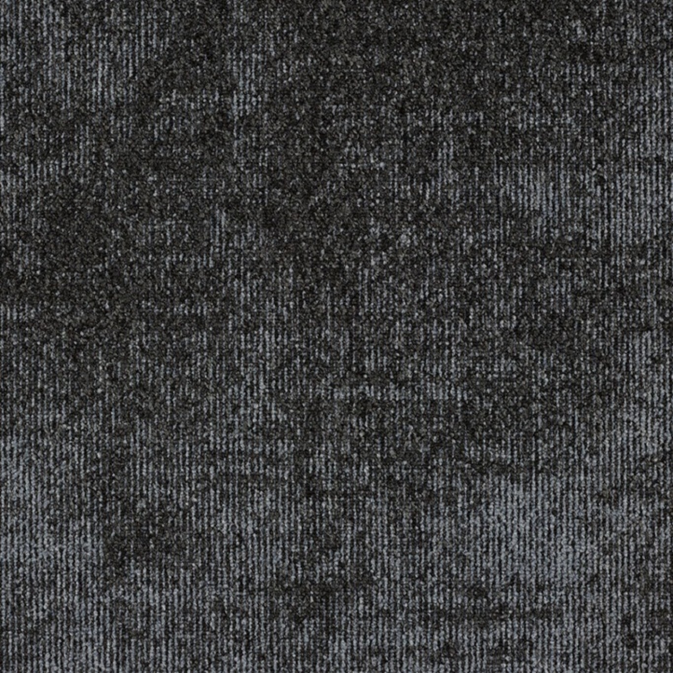 559